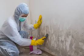 Best Environmental Consulting for Mold Prevention  in Lowry Crossing, TX